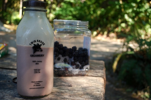 Favorite Meal of the trip- Twinbrooks Dairy Chocolate Milk and Fresh Picked Blackberries